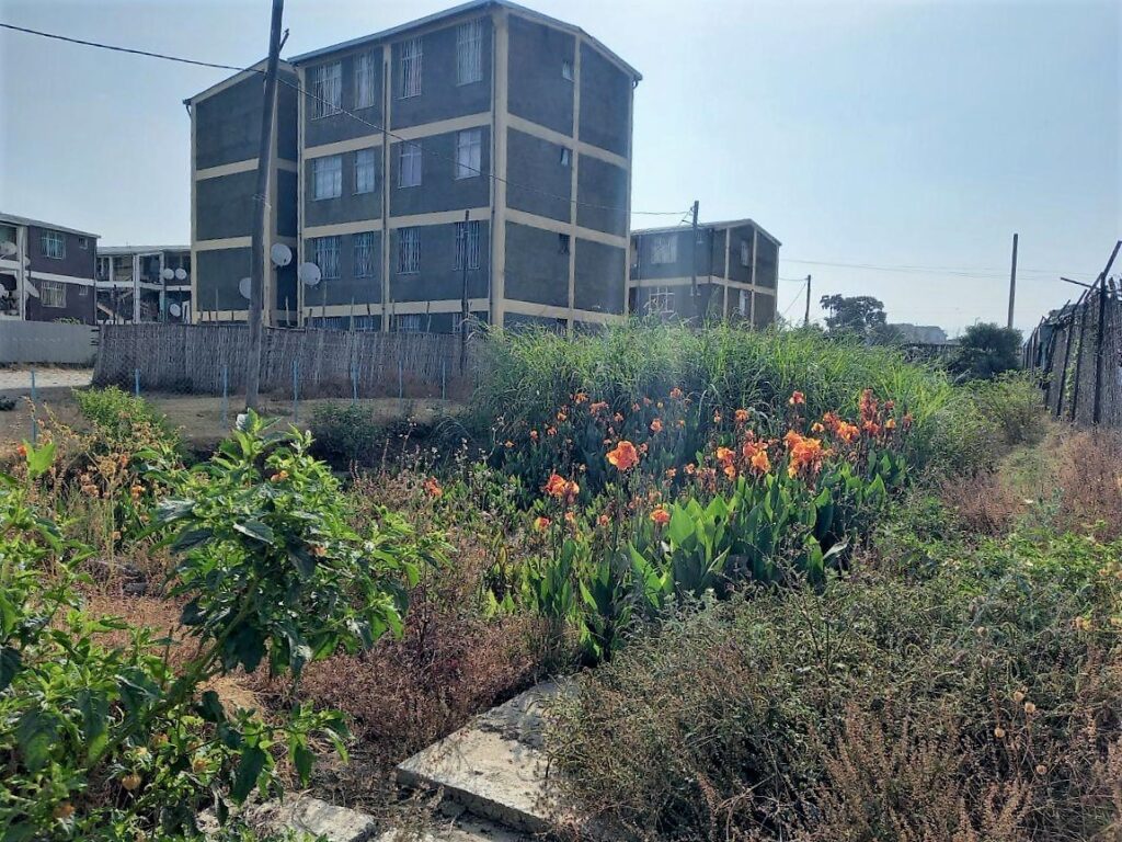 Img 20220519 wa0019a 1024x768