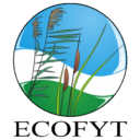 Ecofyt