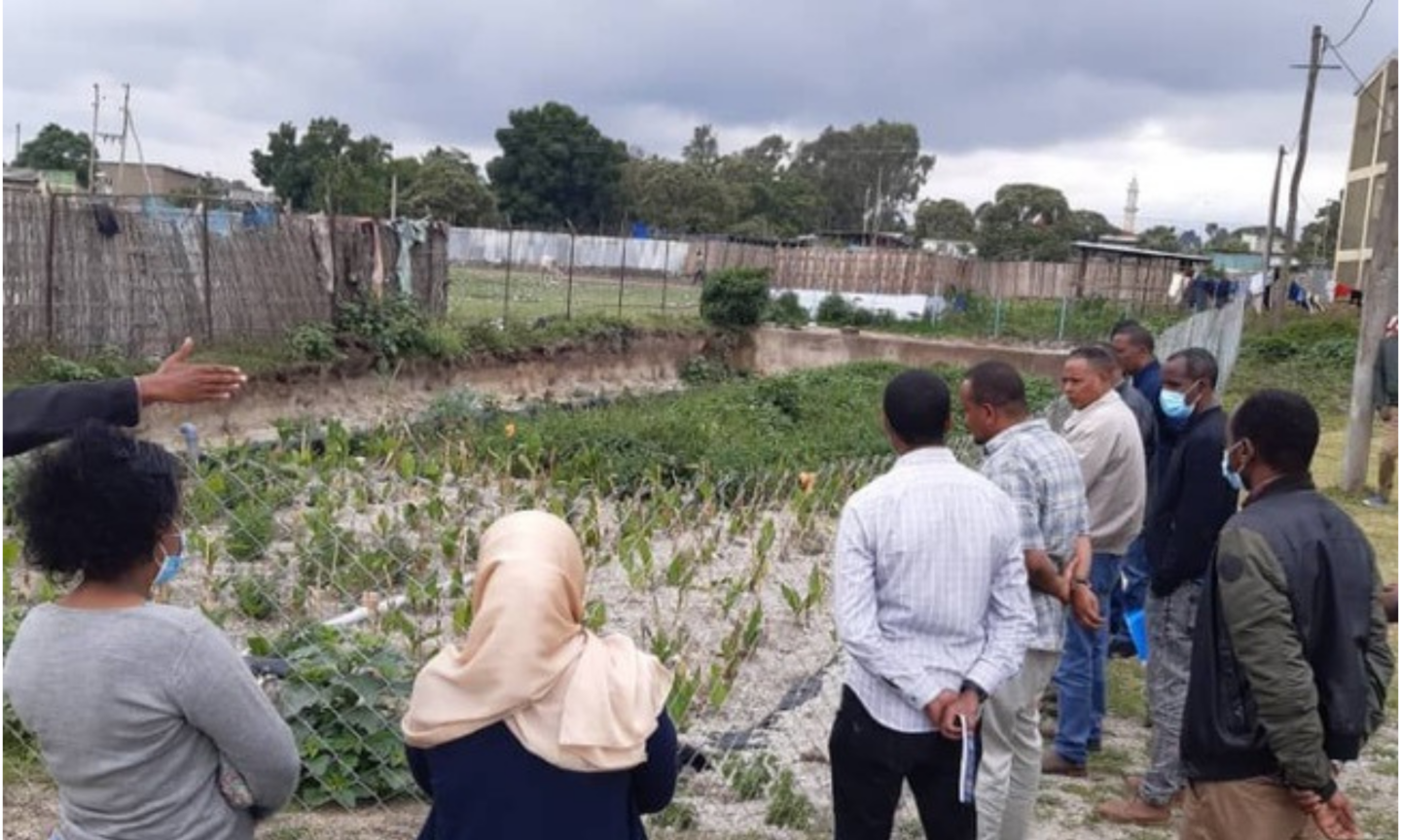 Wetlands being shown to group from community